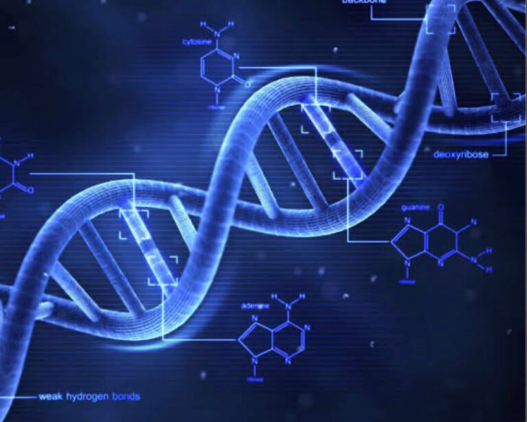 DNA + All diseases – ACT