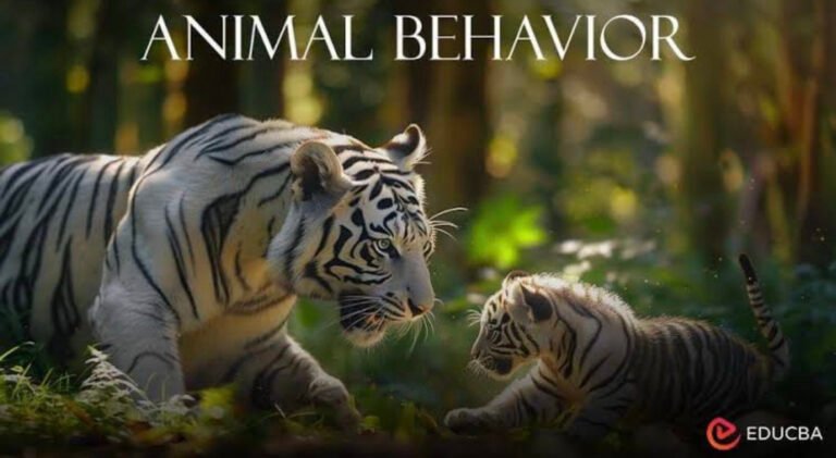Animal behavior basic T 10 new