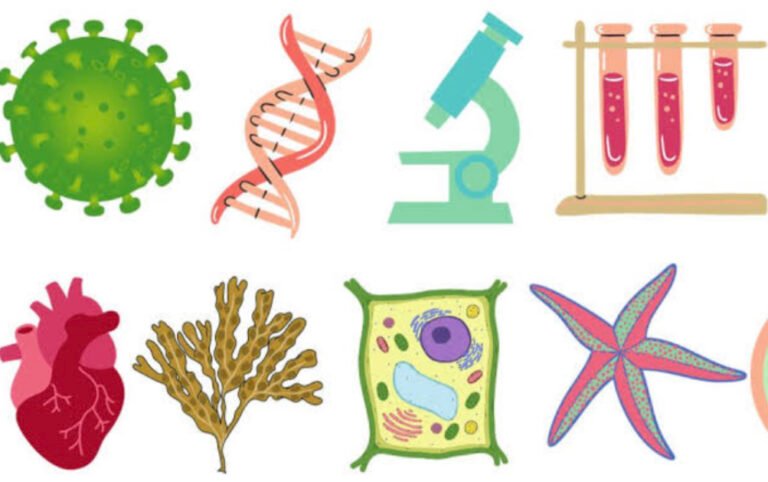 Basic – Homework “2”