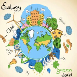 Ecology ACT solve