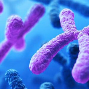 Genetics ACT solving 2