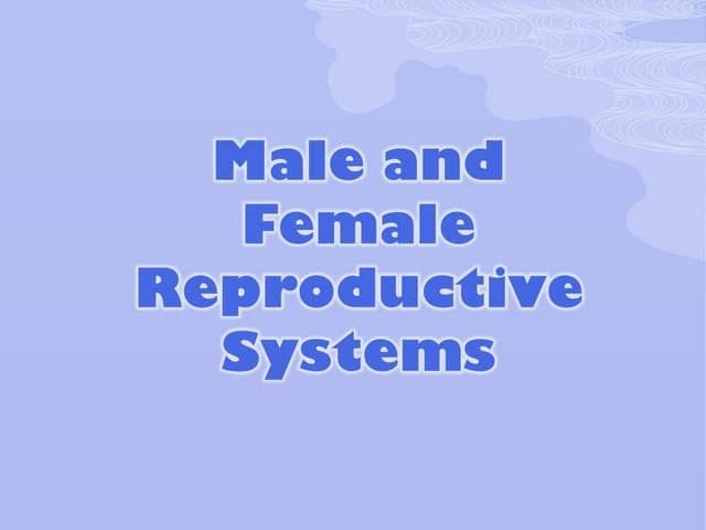Reproductive system-ACT