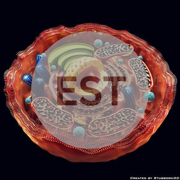 Cell & Transport – EST
