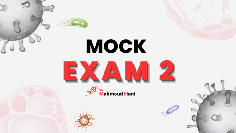 mock exams 2
