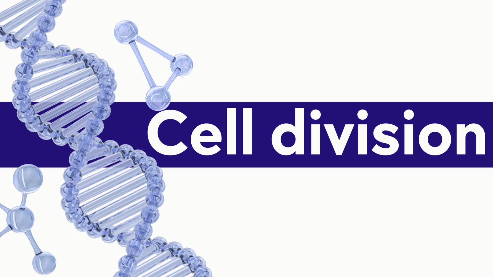 Cell division – Revision
