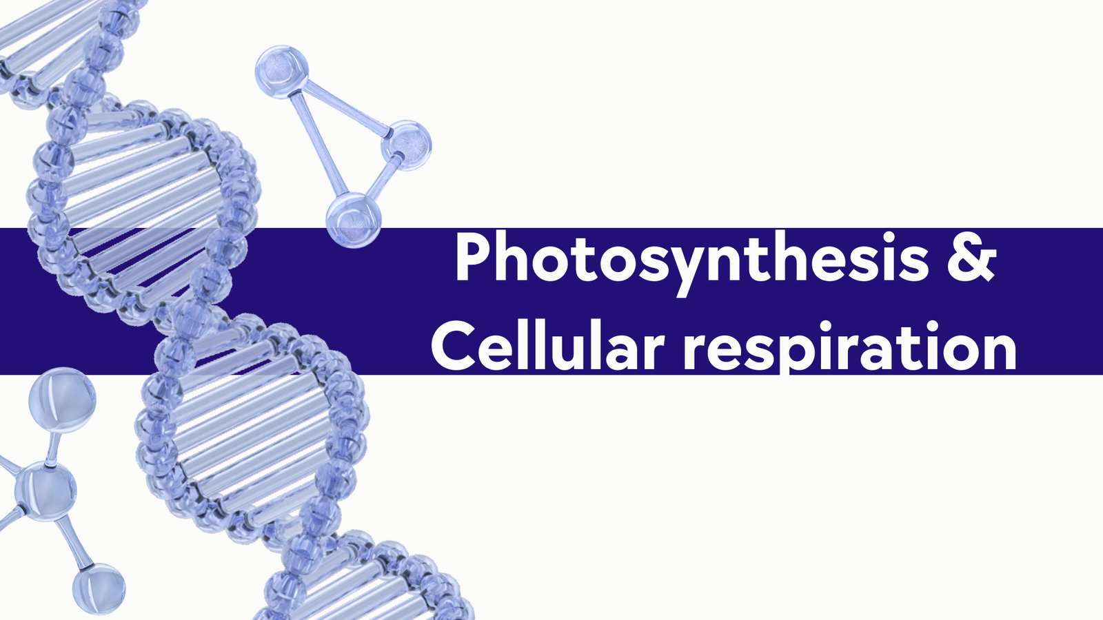 Photosynthesis & Cellular respiration – Revision