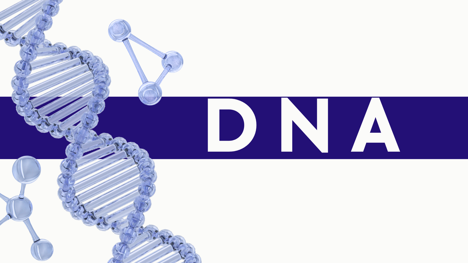 DNA + All diseases – Revision