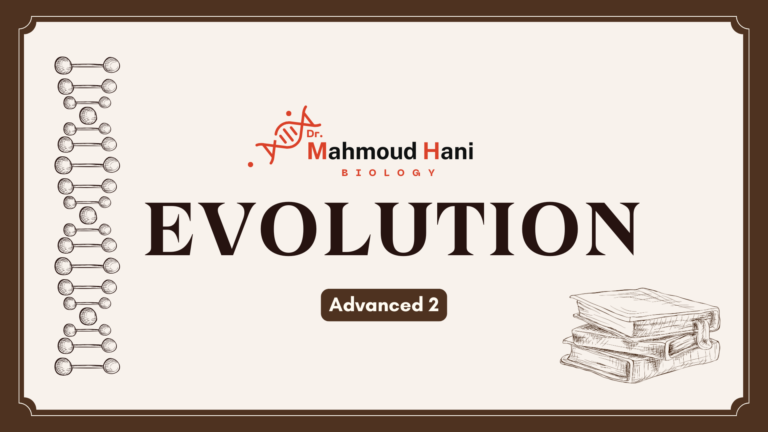 Evolution – adv.2