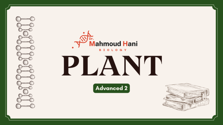Plant – adv.2