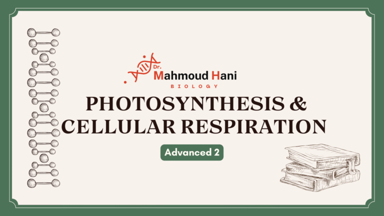 Photosynthesis & cellular respiration – Adv.2