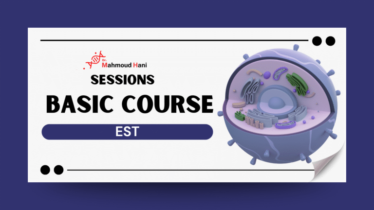 Minia & Bni Swif – Basic Course