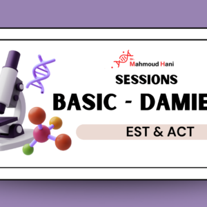 Damietta - Basic Course
