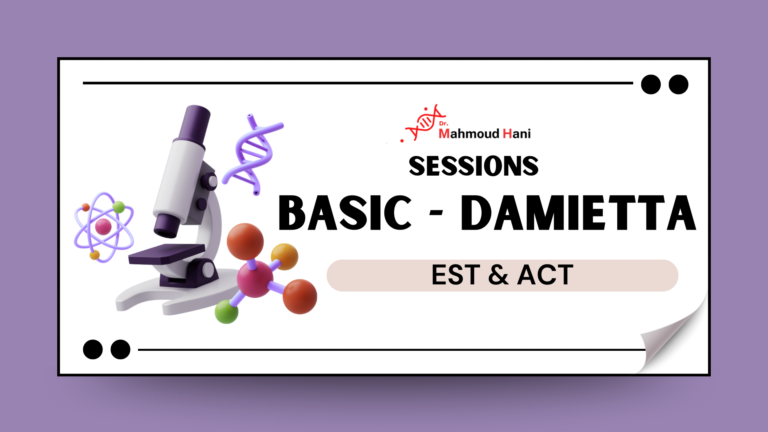 Damietta – Basic Course