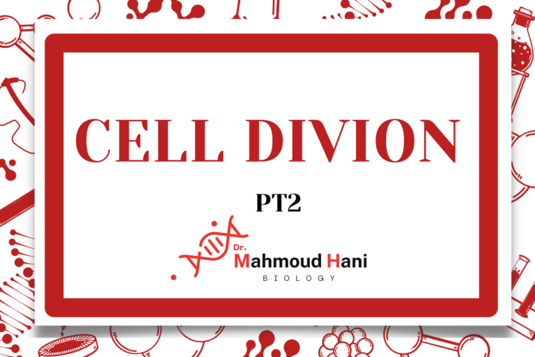 Cell division – Pt2