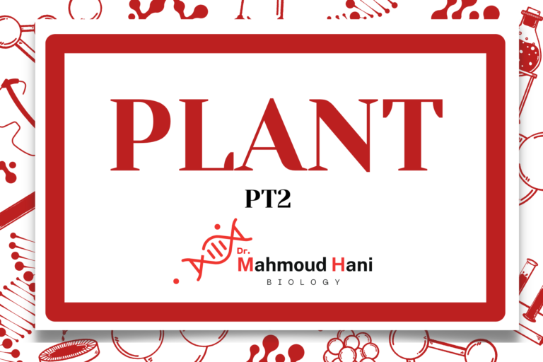 Plant – Pt2