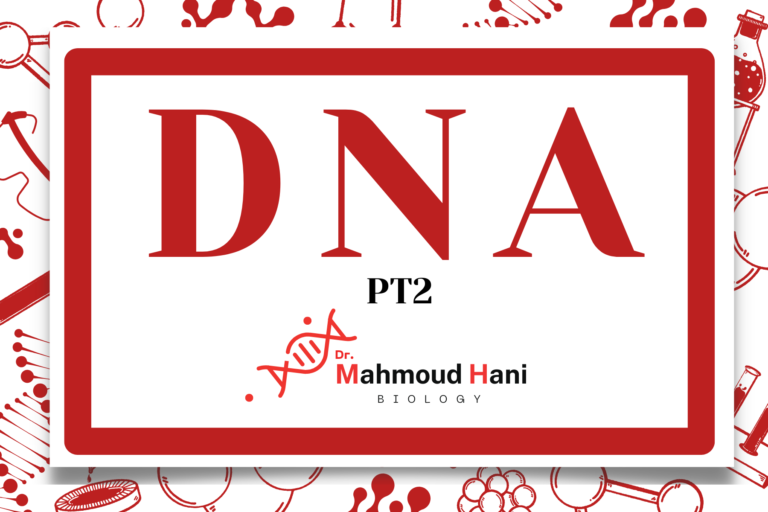 DNA – Pt2