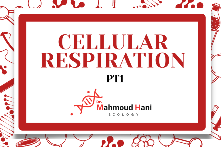 Cellular Respiration – Pt1