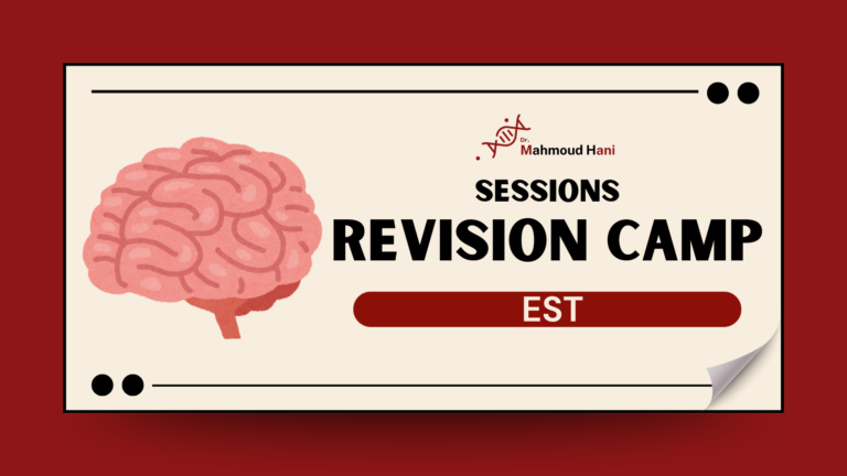 EST T3 – Revision Camp