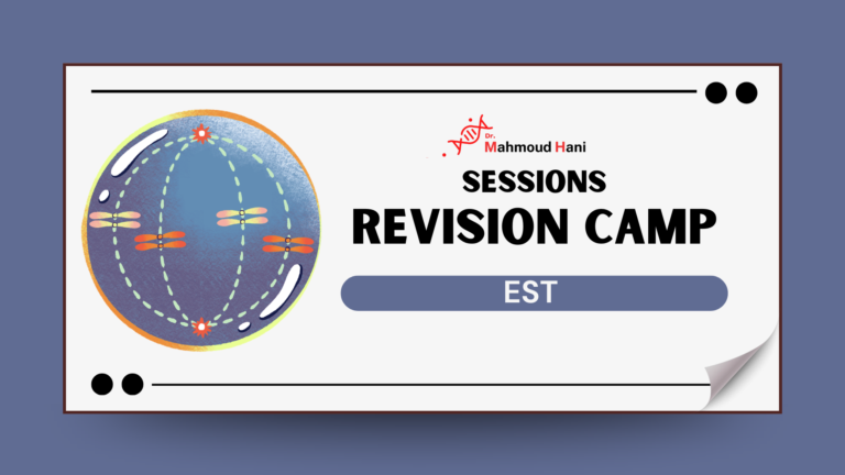 EST T3 – Revision Camp