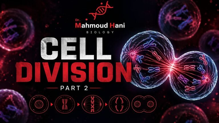 Cell division – Pt2