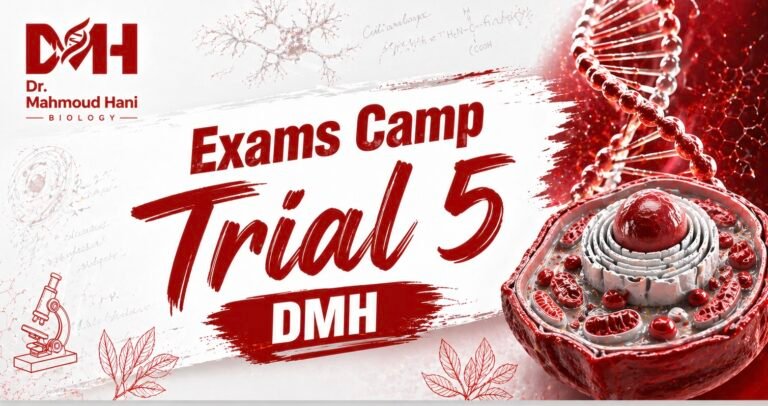 EXAMS Camp – Trial 5