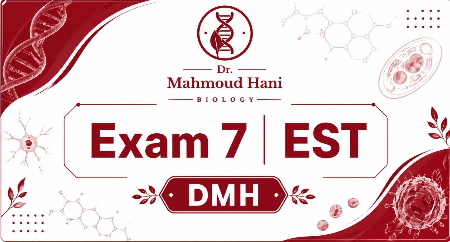 Exam 7 | EST
