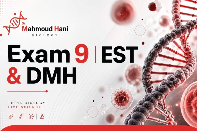 Exam 9 | EST