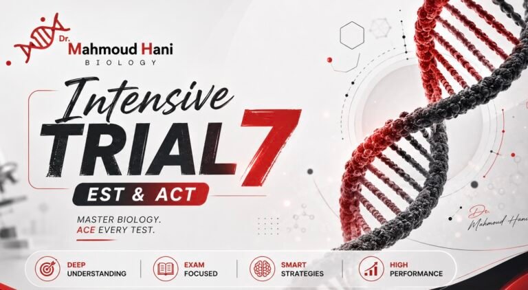 Intensive Trial 7 | EST & ACT