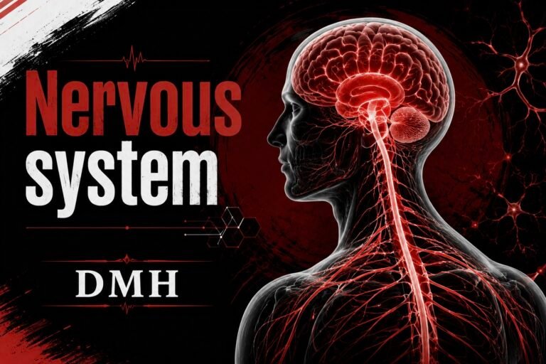 Nervous system