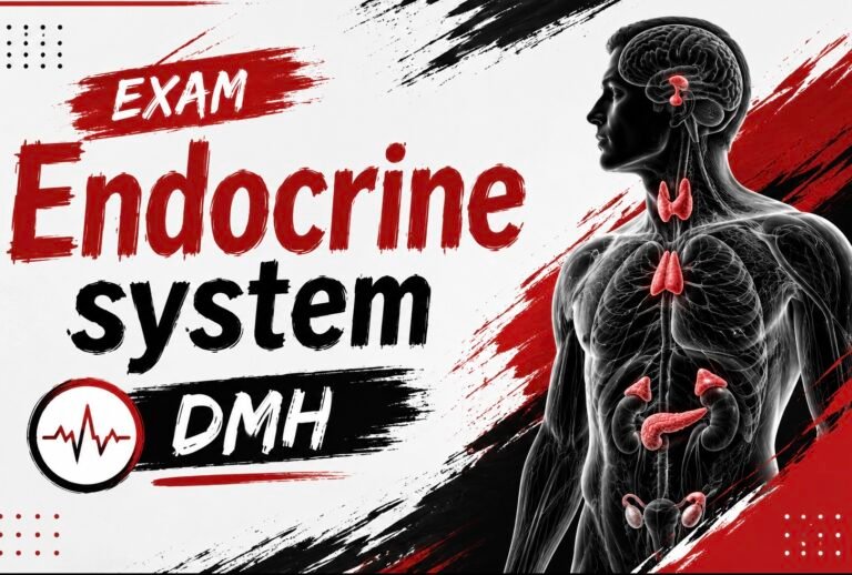Endocrine system