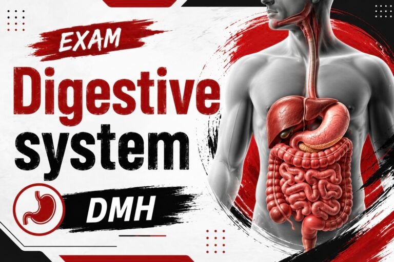 Digestive system