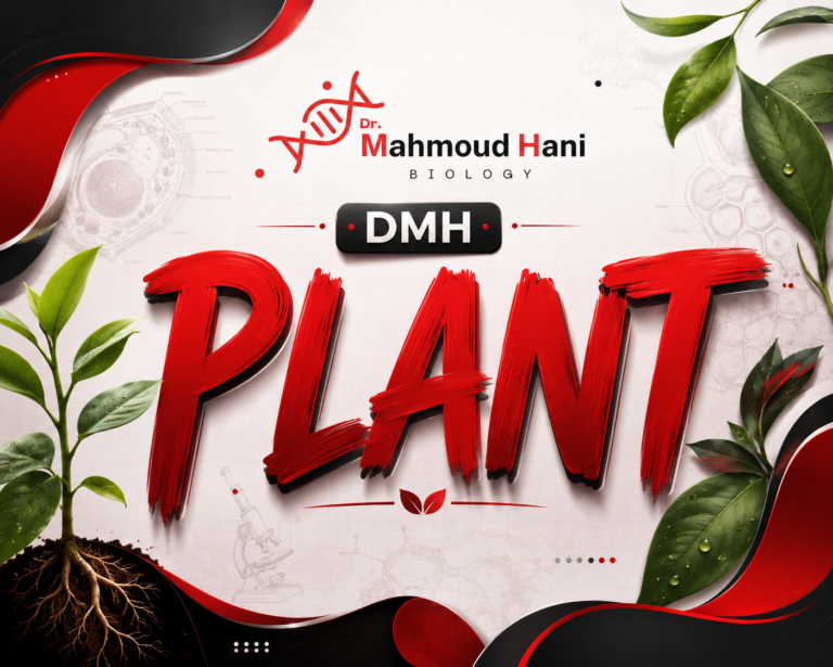 Plant – Pt1
