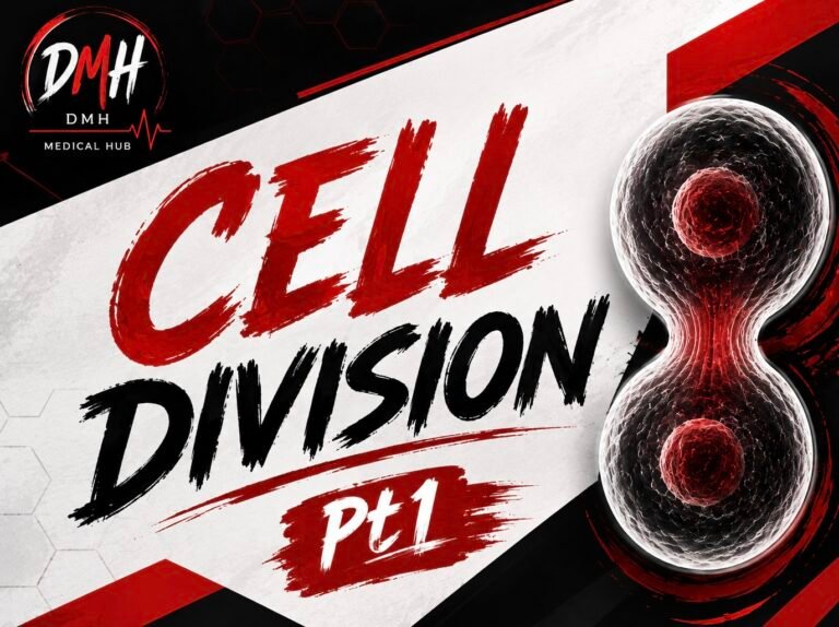 Cell division – Pt1
