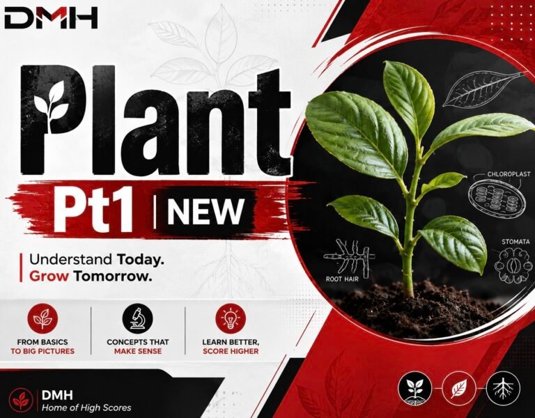 Plant – Pt1 (NEW)