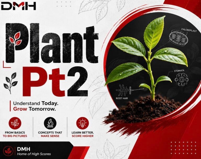 Plant – Pt2