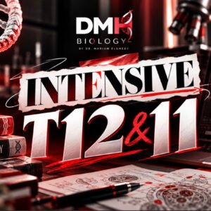 Intensive T12 & 11